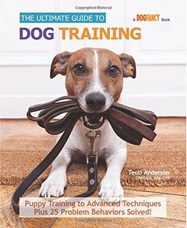 Ultimate Guide to Dog Training