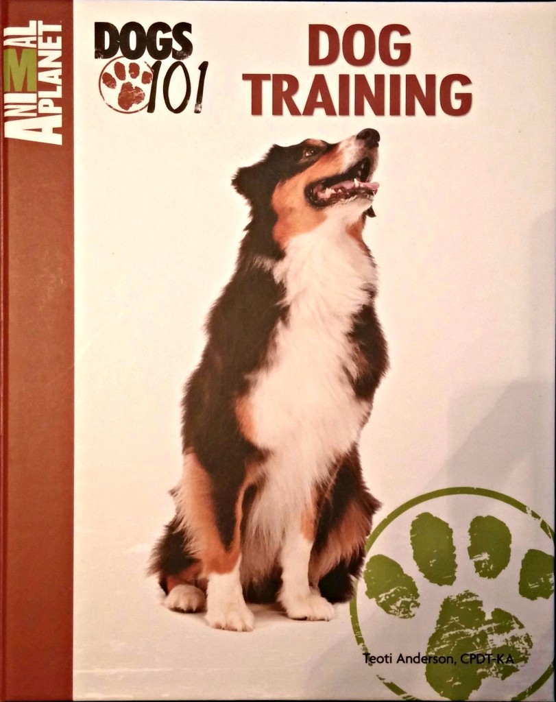 Dog Training